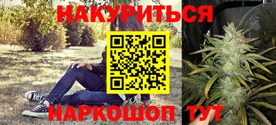 амф Новозыбков