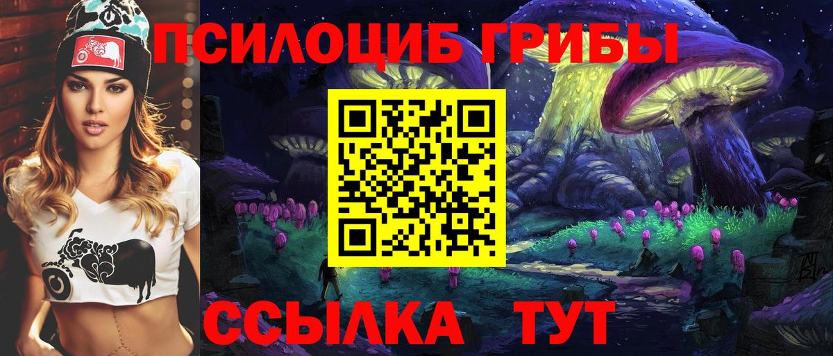 Псилоцибиновые грибы Psilocybe Каменск-Шахтинский